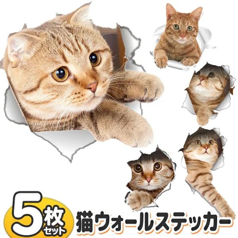 ウォールステッカー 猫 5枚セット 壁から飛び出す リアル 3D ねこ ネコ