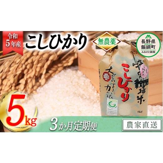 ふるさと納税 長野県 飯綱町 米 無農薬栽培 こしひかり 5kg × 3回 令和5年産 特別栽培米 なかまた農園 2023年10月上旬頃から順次発送…