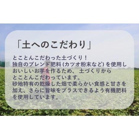 ふるさと納税 鳴門市大津産　旨味金時 3kg 徳島県鳴門市