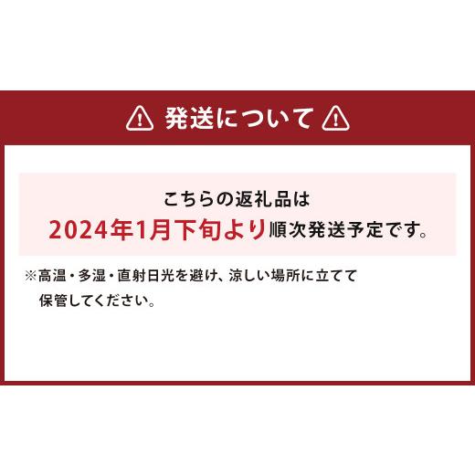 ふるさと納税 熊本県 人吉市 白ネギ 2Lサイズ 20本