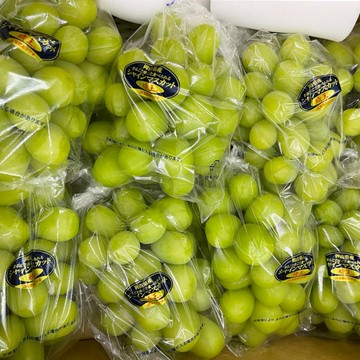 WANG蔬果 日本晴王麝香葡萄(原箱8~9串入/約5Kg)