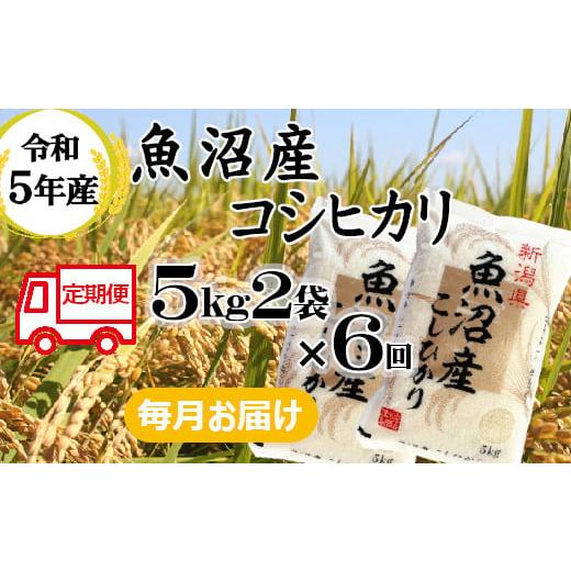 ふるさと納税 新潟県 小千谷市 r05-117-3BE 令和5年産 魚沼産コシヒカリ 定期便 5kg2袋×6回（小千谷米穀）白米 魚沼 米 定期便