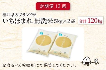 定期便 ≪12ヶ月連続お届け≫ 福井県のブランド米 いちほまれ 無洗米 10kg × 12回 計120kg  [O-6153]