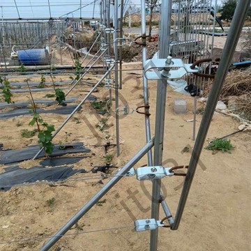 熱銷【五金】獼猴桃建園拉絲緊線器大棚線葡萄種植塑鋼繩緊繩器鋼絲拉緊器收緊 優選