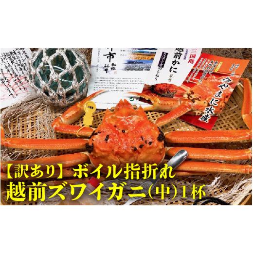 ふるさと納税 福井県 坂井市 名人が茹でる とれたて指折れ訳あり越前がに(中) 1杯 やまに仕込み[E-4351_01]