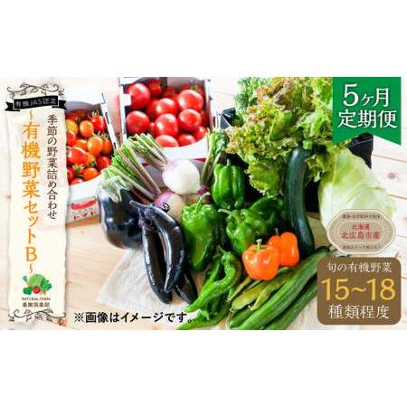 ふるさと納税  季節の野菜詰め合わせ 〜有機野菜セットB〜 北海道北広島市