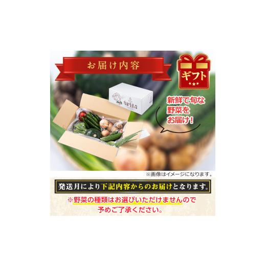 ふるさと納税 鹿児島県 東串良町 12月17日までのご入金で年内発送！自慢の農家×老舗青果店の新鮮でおいしい野菜・おまかせ便(10品)