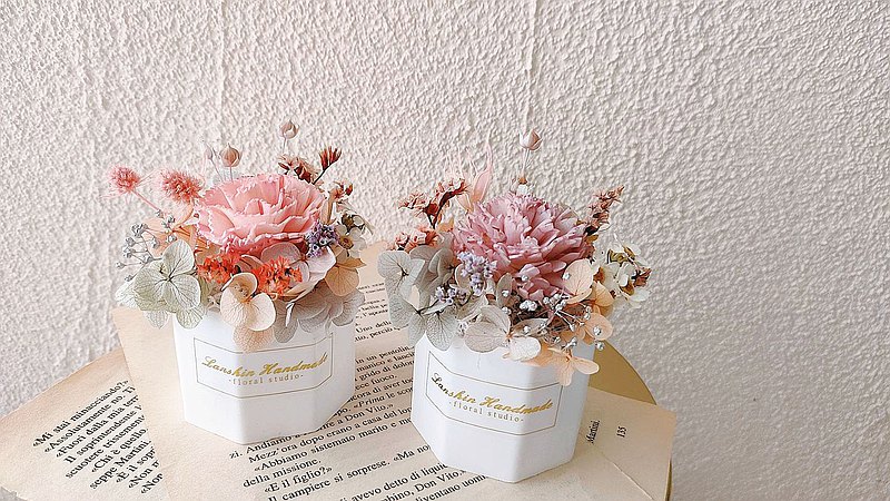 藍芯手作│康乃馨盆花・永生玫瑰 畢業花束 生日禮物 母親節禮盒