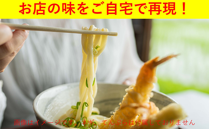 うどん あやうた製麺 冷凍 生うどん 8人前 丸亀 讃岐 讃岐うどん さぬきうどん 生麺 冷凍うどん つゆ 小袋 付き セット だし 麺類 加工食品 惣菜