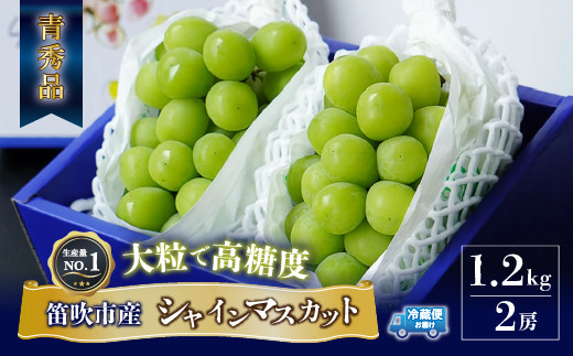 ＜2024年先行予約＞大房『シャインマスカット』 山梨県産ぶどう 青秀品 2房 計約1.2kg 化粧箱入 ※冷蔵 JAふえふき 203-009