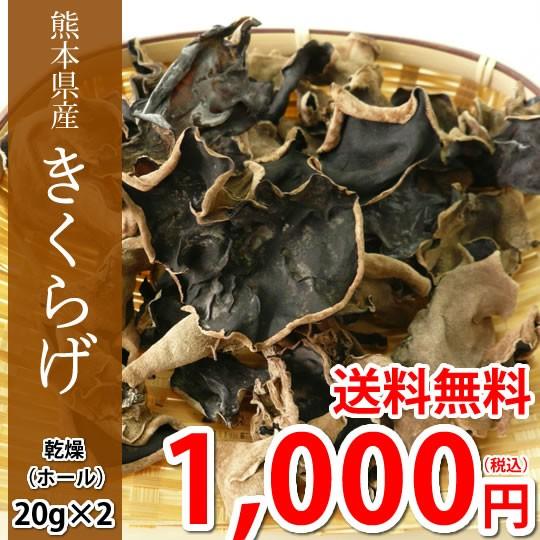 きくらげ 乾燥木耳 送料無料 希少な国産 ホール 20g×2袋 熊本県産