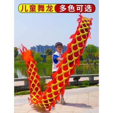 兒童學生廣場手舞龍彩帶健身龍帶龍頭甩龍道具耍龍綢布