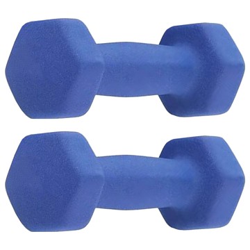 sc優選 鑄鐵實心六角磨砂 浸塑啞鈴  0.5kg  2入