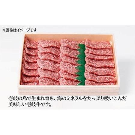 ふるさと納税 お肉 壱岐牛 焼き肉セット 500g 《 壱岐市 》 [JCG054] 51000 51000円  長崎県壱岐市