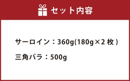 豊後牛 サーロイン・三角バラ 焼肉 セット 860g 牛肉 大分県