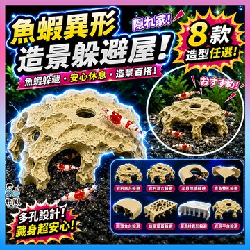 放風水族【魚蝦異形造景躲避屋】 魚缸造景 蝦屋 蝦窩 異形魚躲藏 繁殖洞 小型魚 水晶蝦 底棲魚 水族造景 配件 觀賞魚