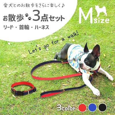 リード ハーネス 首輪 お散歩3点 セット Mサイズ 中型犬用 全3色