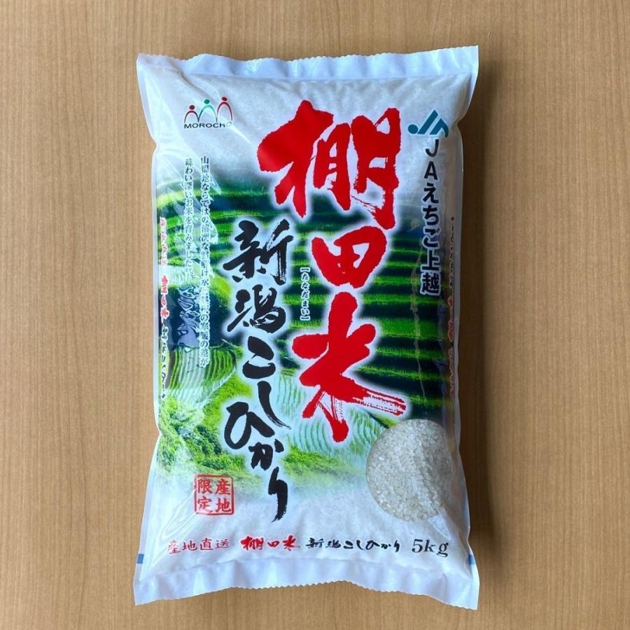 新米 米 お米 5kg 新潟 上越産 こしひかり コシヒカリ 棚田米 本州送料無料 令和5年産