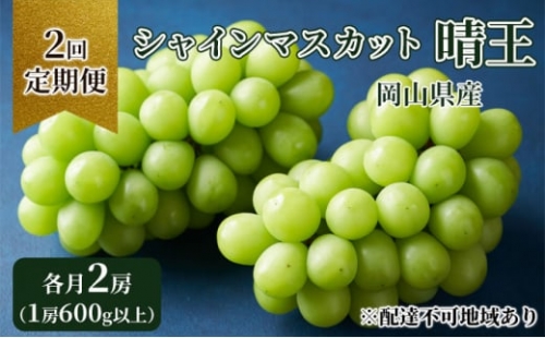 ぶどう 定期便 2024年 先行予約 シャイン マスカット 晴王 各月2房（1房600g以上） 2回コース マスカット ブドウ 葡萄  岡山県産 国産 フルーツ 果物 ギフト [№5220-1401]