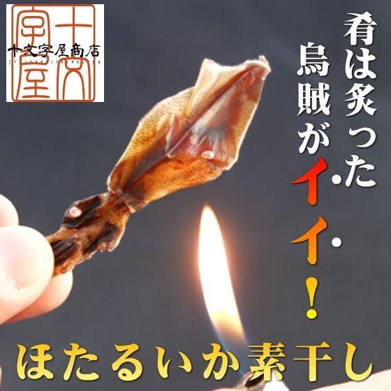 日本海産ほたるいか素干し 25g×2袋 おつまみ 酒の肴 珍味 お試し 食品 おすすめ メール便対応 送料無料 無添加 いか イカ ポイント消化