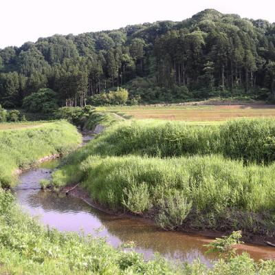 ふるさと納税 上越市 ★数量限定★令和5年産・新潟県上越市吉川区国田産・新潟県認証米 特別栽培米コシヒカリ玄米20kg