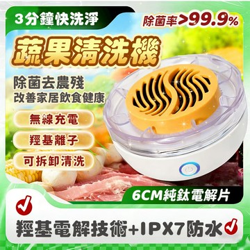 【德國便攜充電款✨隔日達】蔬果清洗機 洗菜機 超聲波清洗 洗菜籃 無線洗菜機 家用洗菜機 果蔬清洗機 超聲波洗菜籃