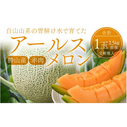 ふるさと納税 福井県 勝山市 勝山産アールスメロン1個入り化粧箱（赤肉） [A-060002]