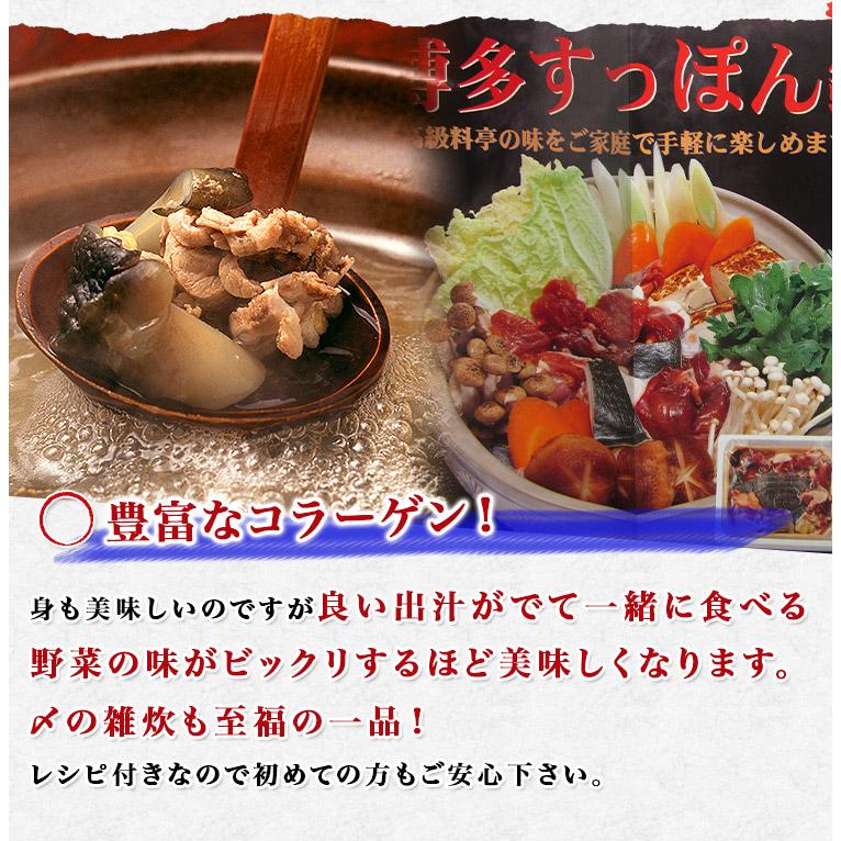 すっぽん スッポン 鍋 ナベ なべ 博多すっぽん鍋セット 送料無料 スッポン鍋 グルメ 食品 お歳暮 ギフト 10%クーポン