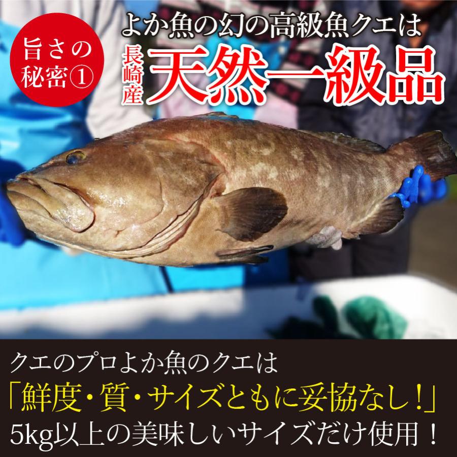 お歳暮 ギフト 長崎産天然クエと真鯛の海鮮丼セット(クエだし醤油付き) ギフト 送料込み 産地グルメ クエ刺身 鯛刺身 プロトン冷凍 よか魚イチオシ