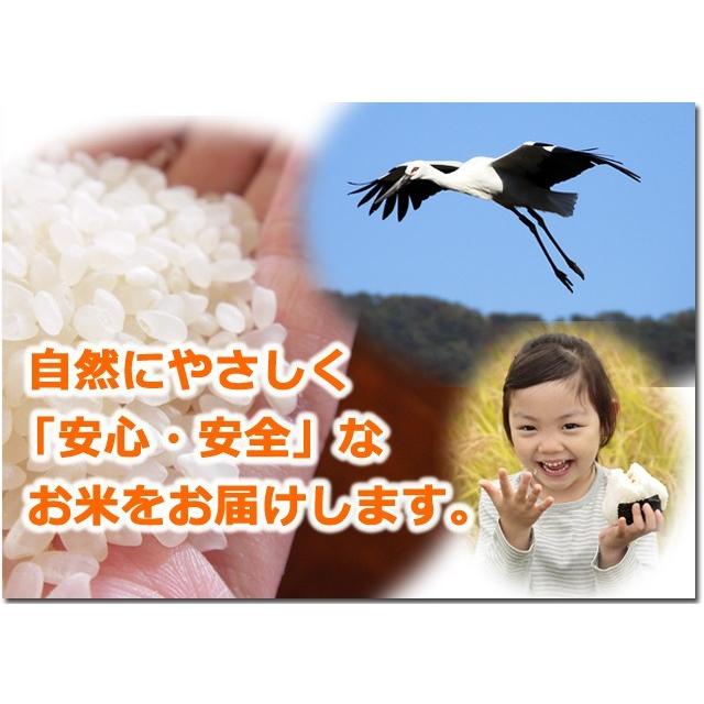 新米 お米 10kg 玄米 コシヒカリ 特別栽培米 7.5割減農薬 5kg×2 兵庫県 但馬産 コウノトリ育む幸福米 一等米 送料無料 令和5年産