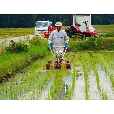 ふるさと納税 南魚沼産コシヒカリ玄米5kg（有機肥料栽培、農薬不使用米）＜クラウドファンディング対象＞ 新潟県南魚沼市