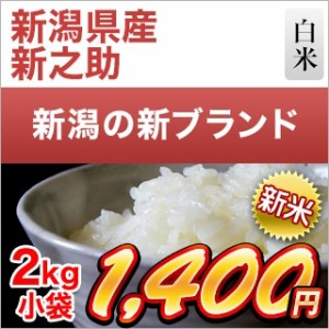 新米 令和5年(2023年) 産 新潟県の新ブランド 新之助 白米 2kg