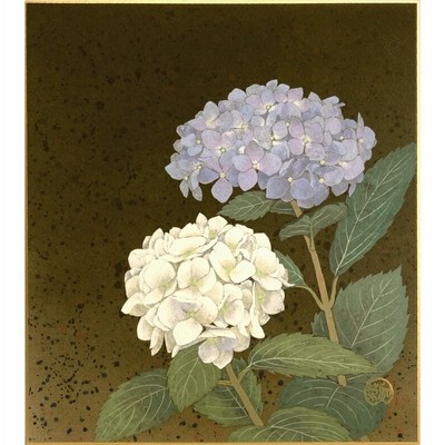 迫力 紫陽花 アジサイ 絵 絵画  72×64cm