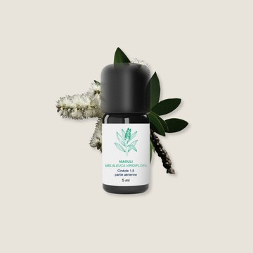 綠花白千層精油