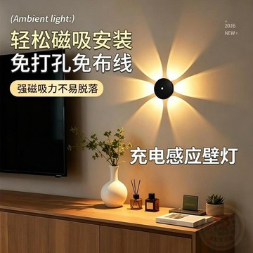 🛍熱銷回歸🛍充電花朵人體感應  燈  磁吸智能可走廊過道牆壁氛圍  燈  自動感應小夜  燈
