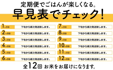 ＜新米発送＞ななつぼし 2kg×2袋 《普通精米》全12回