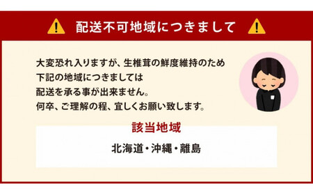 8_9-01 訳あり 佐賀県産 箱生しいたけ 約1kg