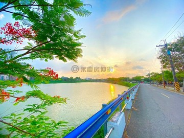 王信智❤️愛上龍崎｜旺旺來2.4公頃7166坪農地｜台南市龍崎區中坑