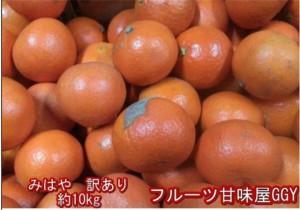 みはや　訳あり　約10ｋｇ（９kg 保証分５００g）みかん　熊本産 みかん ミカン 蜜柑