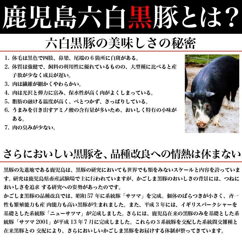 鹿児島黒牛熟成肉と鹿児島六白黒豚の食べ比べセット 熟成モモステーキ