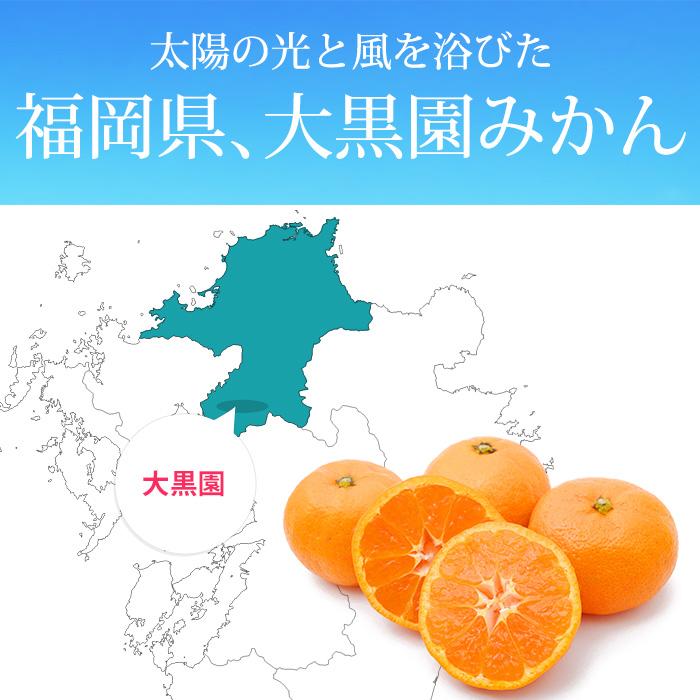 みかん 福岡県みやま市 大黒園早生みかん 秀品 約3kg S〜Mサイズ 30〜36個