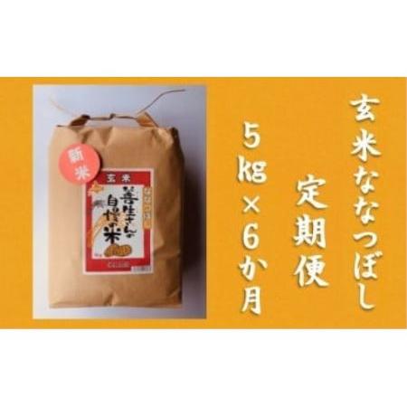 ふるさと納税 令和5年産！『100%自家生産玄米』善生さんの自慢の米 玄米ななつぼし５kg　６か月　（全６回） 北海道岩見沢市