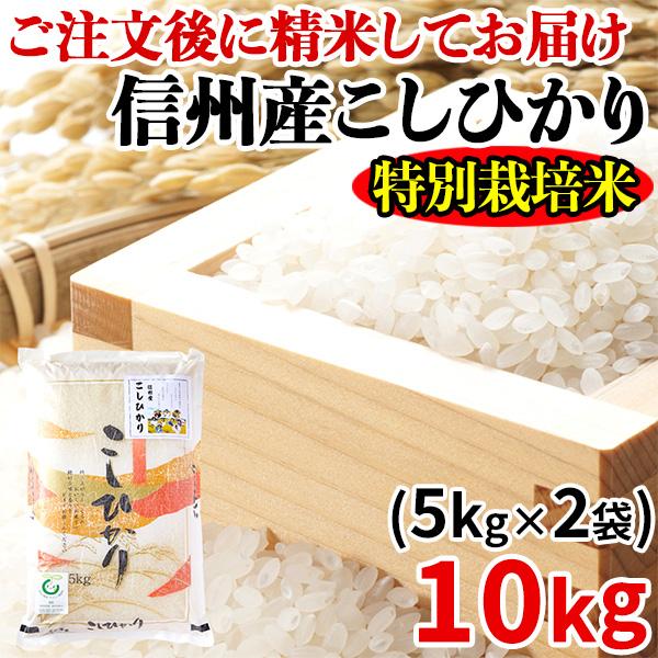 こしひかり コシヒカリ お米 白米 特別栽培米 送料無料 注文後精米 長野県 信州産　減農薬 10kg（5kg×2袋）