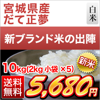 新米 令和5年(2023年)産 宮城県産 だて正夢 白米 10kg(2kg×5袋）