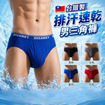 【XD3】台灣製 隔日配 男內褲 三角褲 竹炭材質 涼感 透氣 灰色黑色 M-XXL