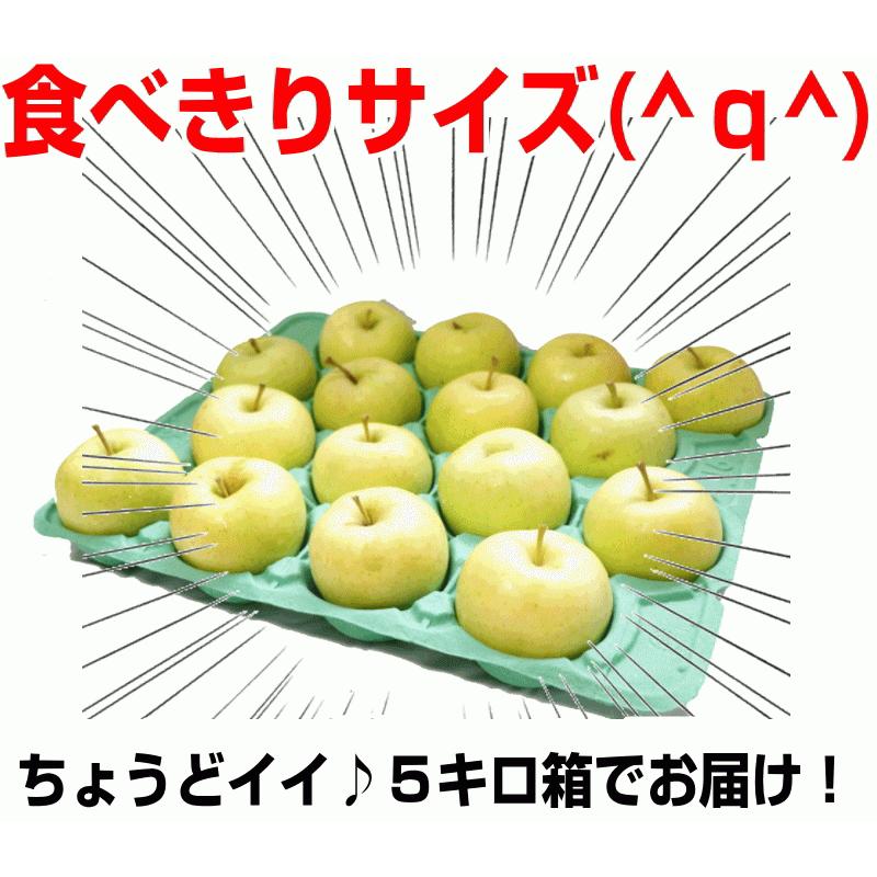 あすつく 青森 りんご 5kg箱 王林 送料無料 家庭用 訳あり 青森 リンゴ 訳あり 5キロ箱★王林 家訳 5kg箱