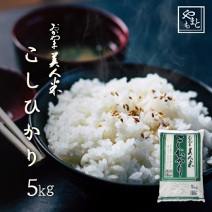 お米 新米 令和5年 岡山県産こしひかり5kg 5kg×1袋 お米 送料無料 コシヒカリ 5キロ 北海道沖縄離島は追加送料