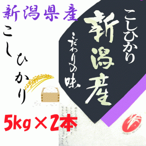 新潟県産　こしひかり　5kg×2本