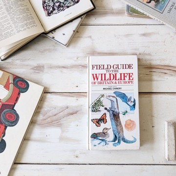 歐洲植物生活野外指南