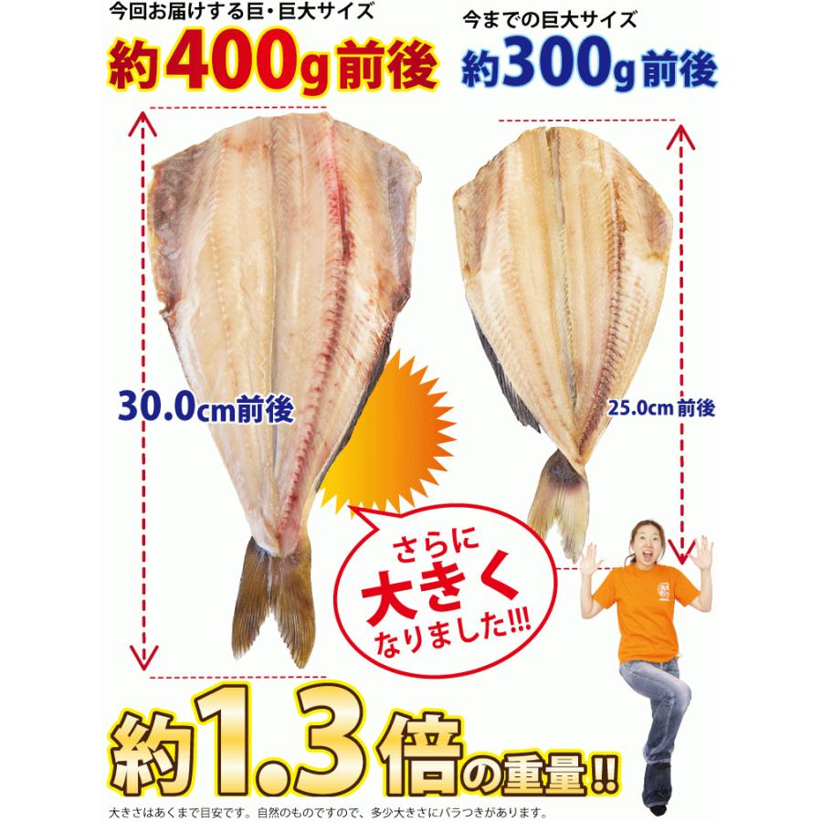 縞ホッケ 干物 ほっけ 特大 約400g×5尾 しまほっけ ホッケ ホッケ干物 シマホッケ 干物セット 真空パック 一夜干し 一夜干し魚 一夜干しセット ((冷凍))